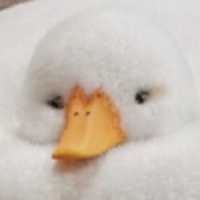 milk的頭像